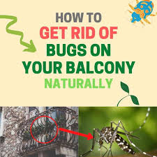 how to get rid of bugs on a balcony