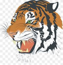 tiger head png images pngwing