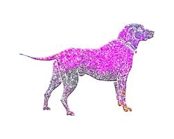 dog made pink petunia flowers isolated