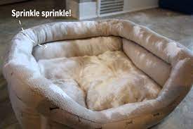 how to clean pet beds naturally the