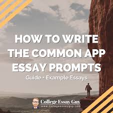 the 2023 2024 common app prompts 7