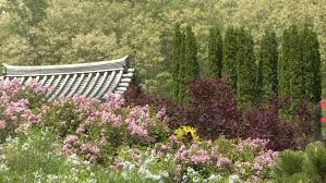 Japanese Garden Reopens At Lauritzen