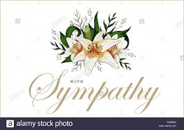 Condolences Sympathy Card Floral Lily Bouquet And Lettering