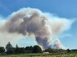 Incendie à Landiras : vos photos du panache de fumée, visible dans tout le  ciel de la Gironde | Le Républicain Sud-Gironde