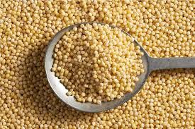 millet flour grain nutrition facts