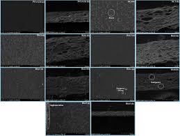 Sem Micrographs Of Pva 0 16 Nc3 And Isa 1e5 A Top Surface