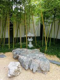 Small Chinese Courtyard Garden