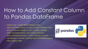 pandas add constant column to dataframe