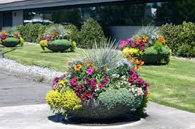 Large Containers In Your Garden