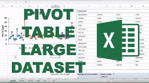 using pivot tables to organize a large