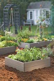 Organic Edible Gardening Raised Beds