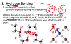 Imf Part 3 Hydrogen Bonding
