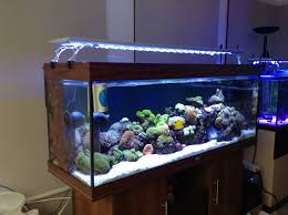 Best Led Lighting Solution For Your Big Saltwater Tanks Led Aquarium Lighting Aquarium Aquarium Lighting