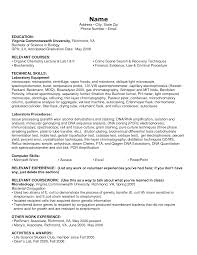 Resume Examples Technical Skills Resume Templates