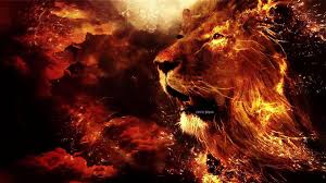 lion fire wallpapers wallpaper cave