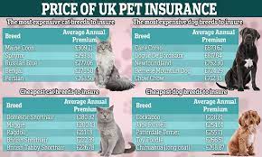 Dog Insurance Uk Price gambar png