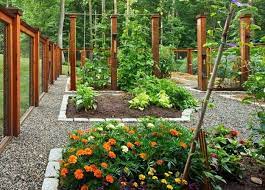 Vegetable Garden Design