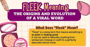 fleek meaning unraveling the fun slang
