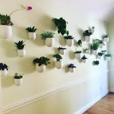 West elm | furniture + decor. Scroller Image Hanging Plants Indoor Plant Decor Indoor Hanging Plants