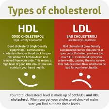 How To Increase Hdl Cholesterol With Indian Food Low