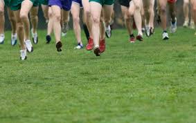 how long is a cross country race a
