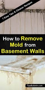 You can detect black mildew on basement walls and ceilings visually and/or by musty or moldy smell. 7 Quick Ways To Remove Mold From Basement Walls Mold Remover Basement Walls Cleaning Mold