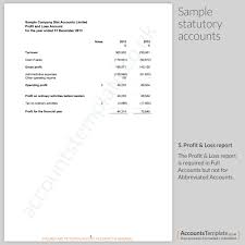 A Guide To The Statutory Accounts Format Accounts Template
