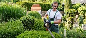 best 15 gardeners lawn care companies