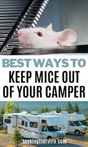 5 strategies to keep mice out of cer