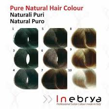 Inebrya Professional Permanent Hair Colour Dye 100 Ml Part 1