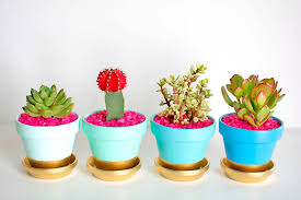 potted plant decorations 50 off