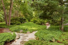 New England Zen Garden With Organic