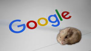 Google usunęło 6 miliardów linków do pirackich treści. Chomikuj.pl w  czołówce - Instalki.pl