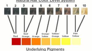 Chart Of Underlying Pigments