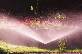 garden sprinkler waters flower bed and