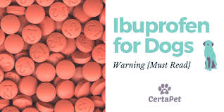 Ibuprofen For Dogs Warning Must Read Certapet