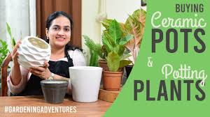 ing ceramic pots potting plants