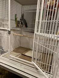 5 bird cage lining ideas what to put