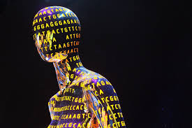 Image result for genome