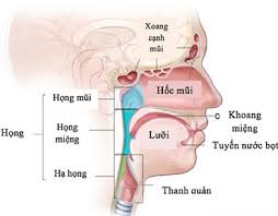 Maybe you would like to learn more about one of these? Ai Dá»… Bá»‹ Ung ThÆ° Vung Háº¡ Há»ng
