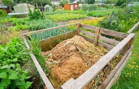 Making And Using Compost In The Garden