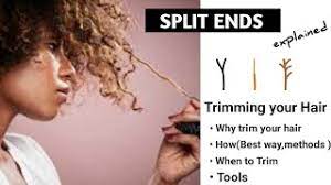 split ends t natural 4c hair