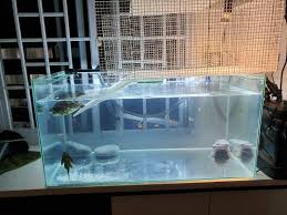 Turtle/terrapin basking area Pet Supplies Homes Other Pet