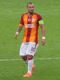 Wesley Sneijder - Vikipedi