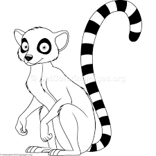 Lemur coloring pages for kids. Pin On Veoleo