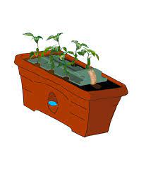 self watering tomato planter from the
