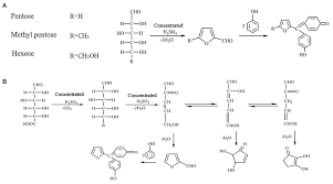 Phenol Sulfuric Acid Method
