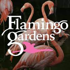 Flamingo Gardens Artscalendar Com