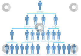 Organization Corporate Hierarchy Chart Company People Stock
