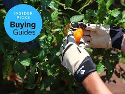 The Best Gardening Gloves You Can Buy